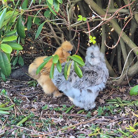 Gemuetliche Wohnung Direkt Am Kuestenkanal! Wardenburg Bagian luar foto