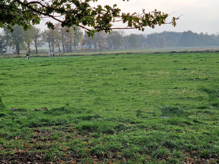 Gemuetliche Wohnung Direkt Am Kuestenkanal! Wardenburg Bagian luar foto
