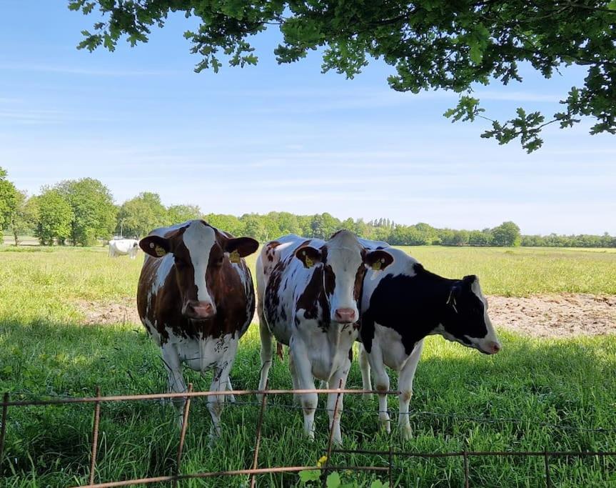 Gemuetliche Wohnung Direkt Am Kuestenkanal! Wardenburg Bagian luar foto